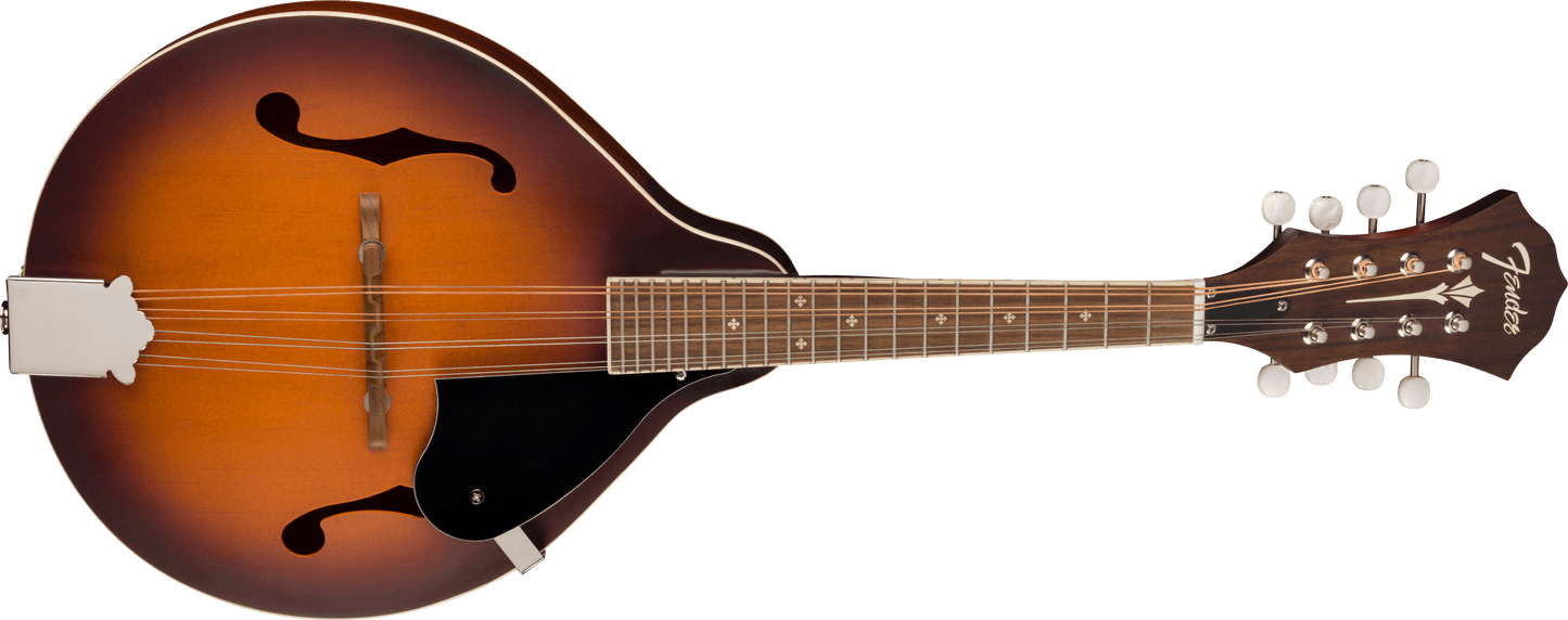 PM-180E Mandolin